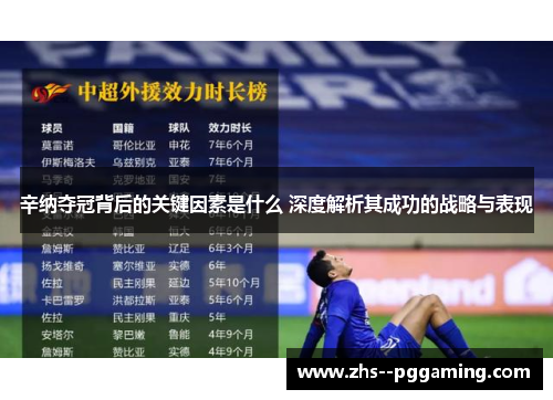 辛纳夺冠背后的关键因素是什么 深度解析其成功的战略与表现