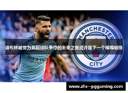 迪布林被誉为英超球队争夺的未来之星或许是下一个璀璨明珠