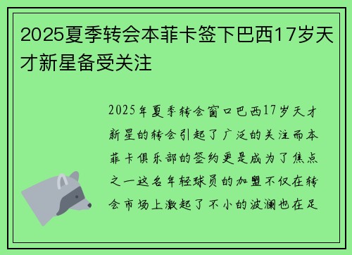 2025夏季转会本菲卡签下巴西17岁天才新星备受关注